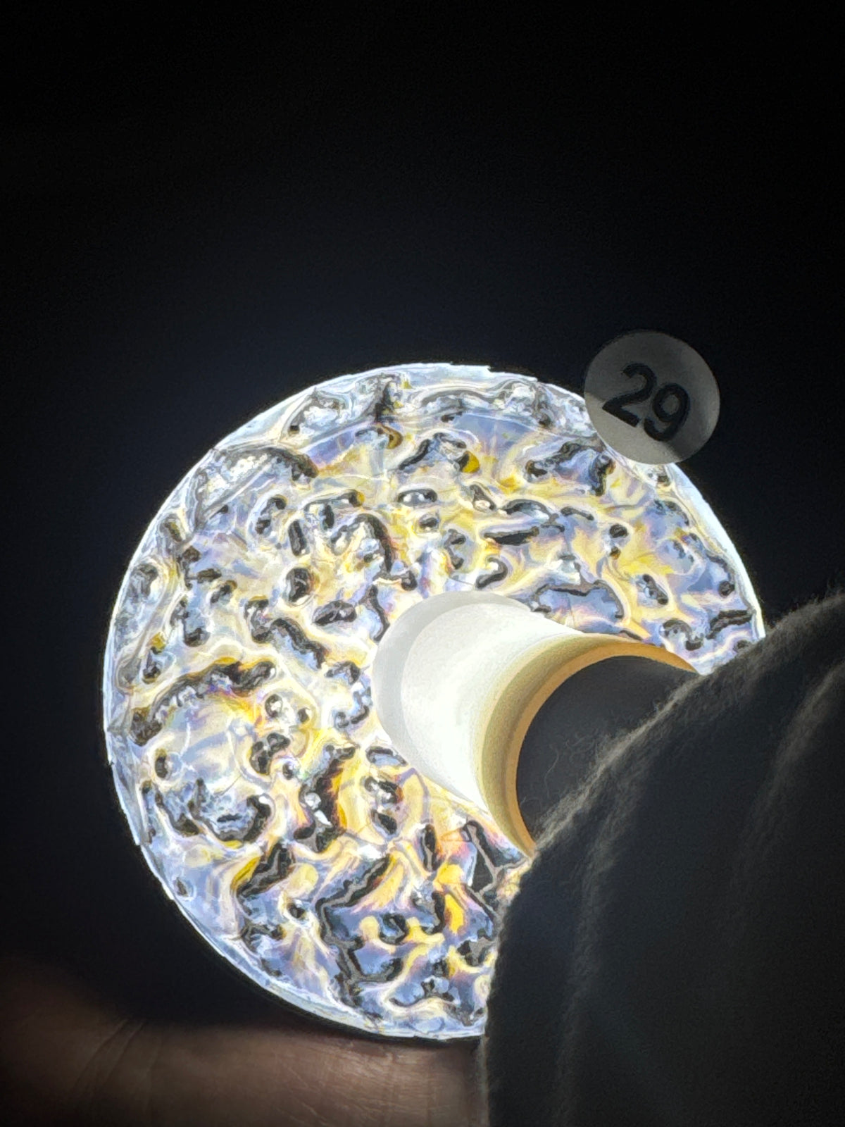 Champscurio