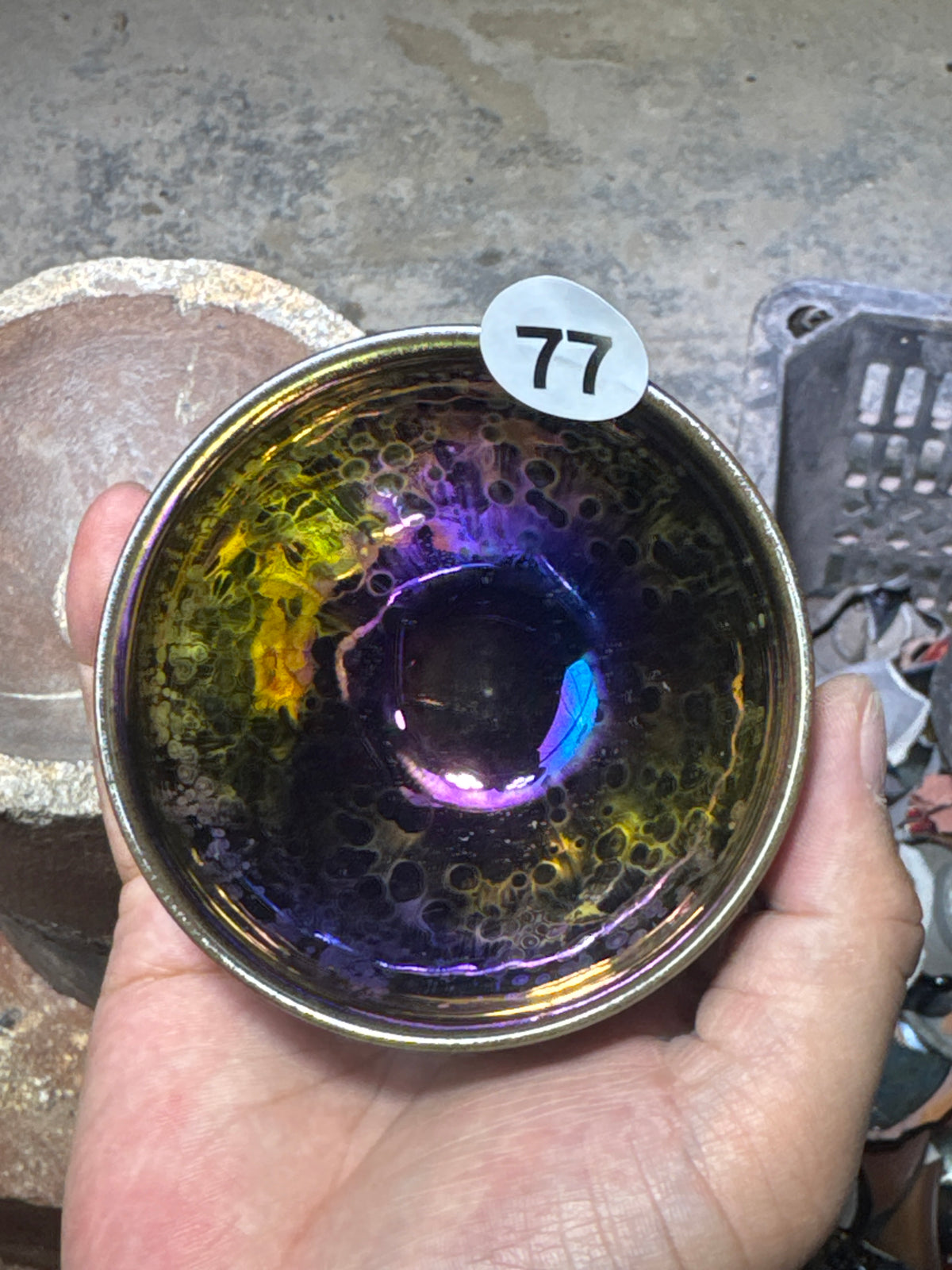 Champscurio