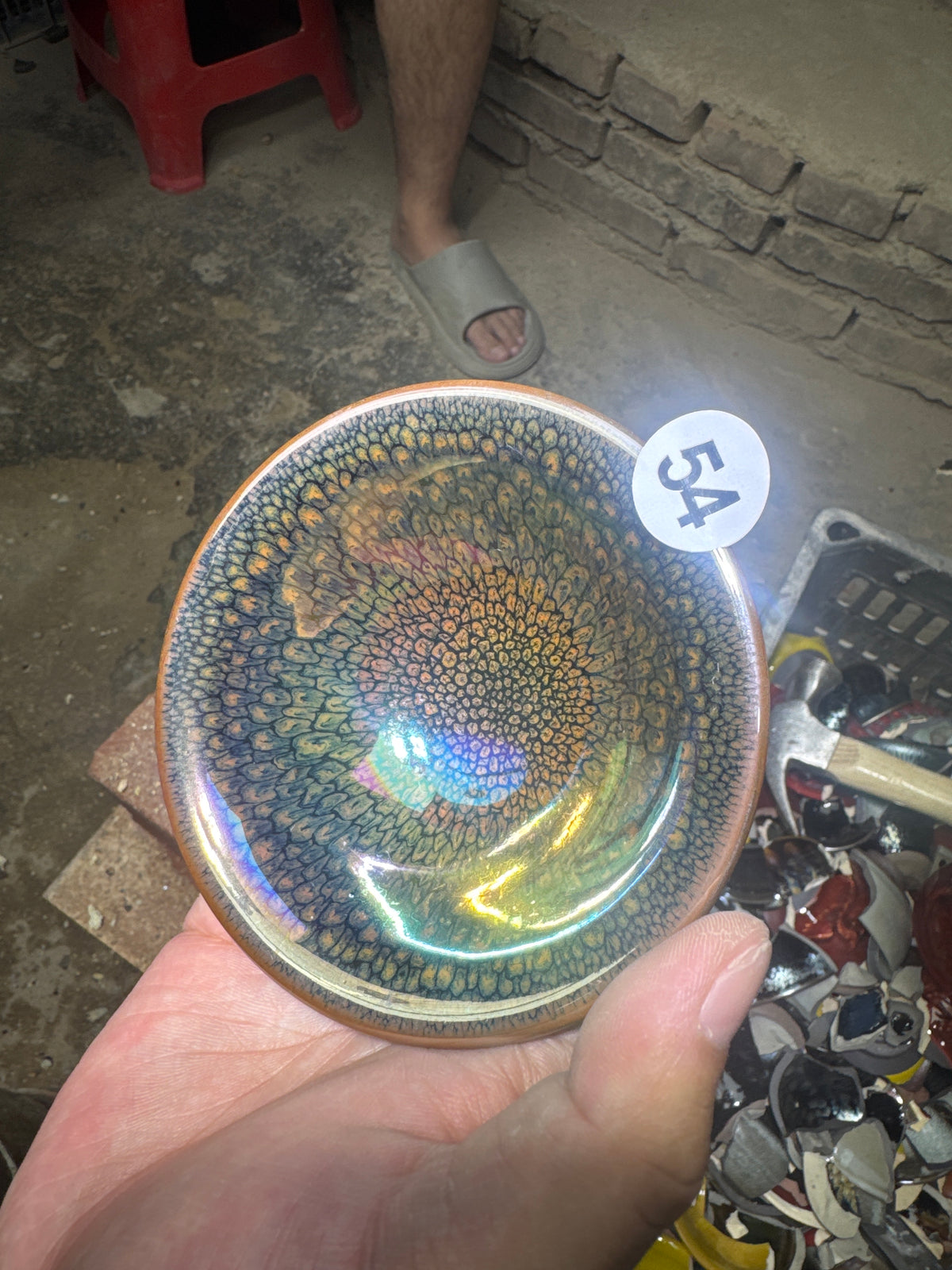 Champscurio
