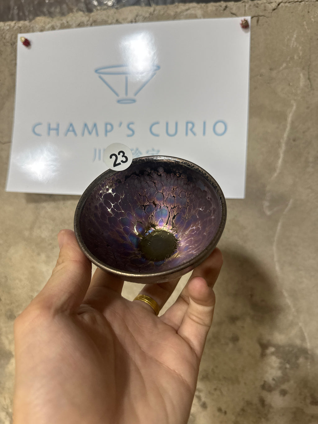 Champscurio