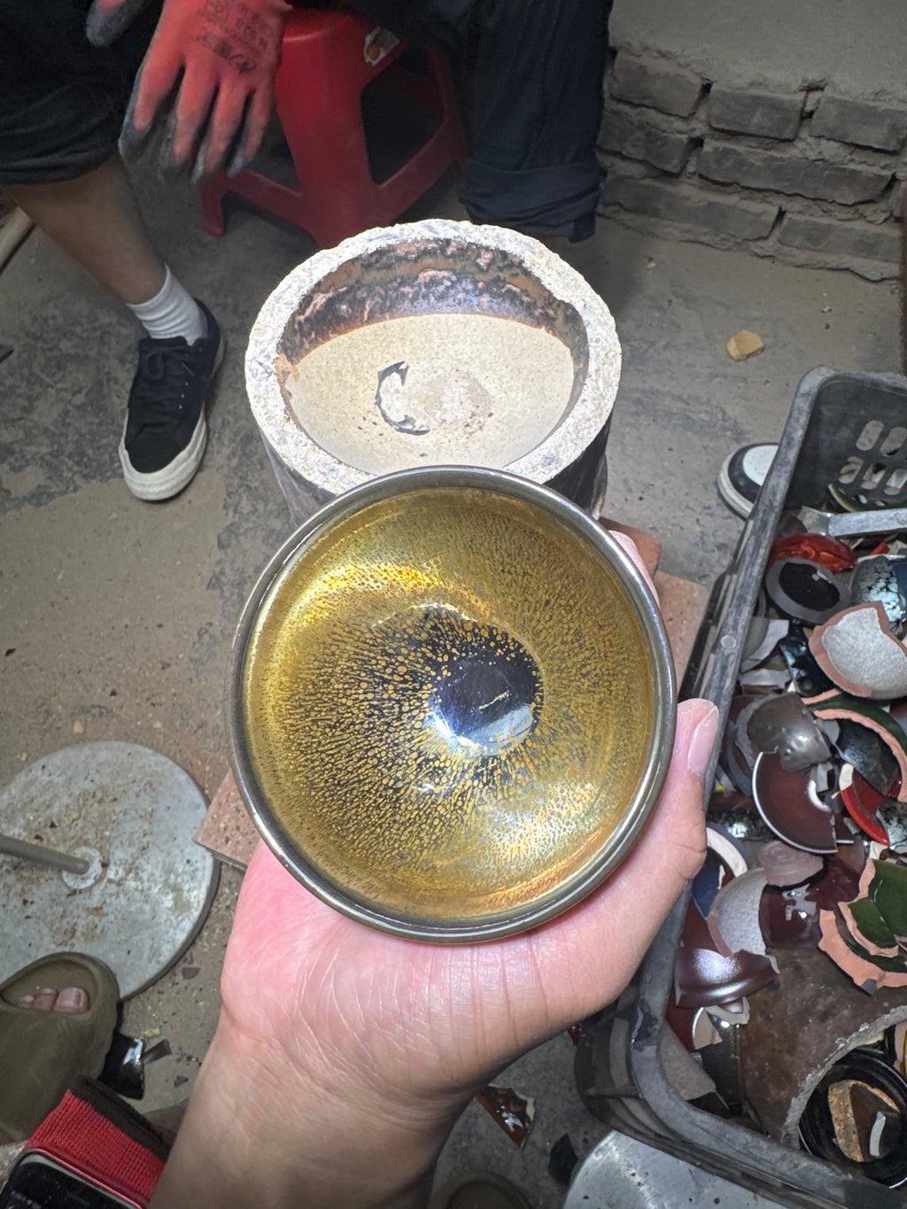 Champscurio