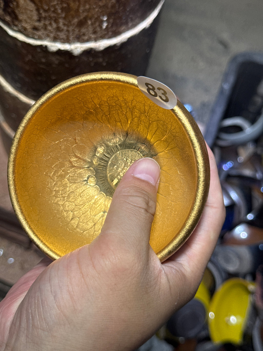 Champscurio