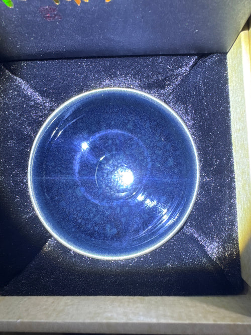Champscurio