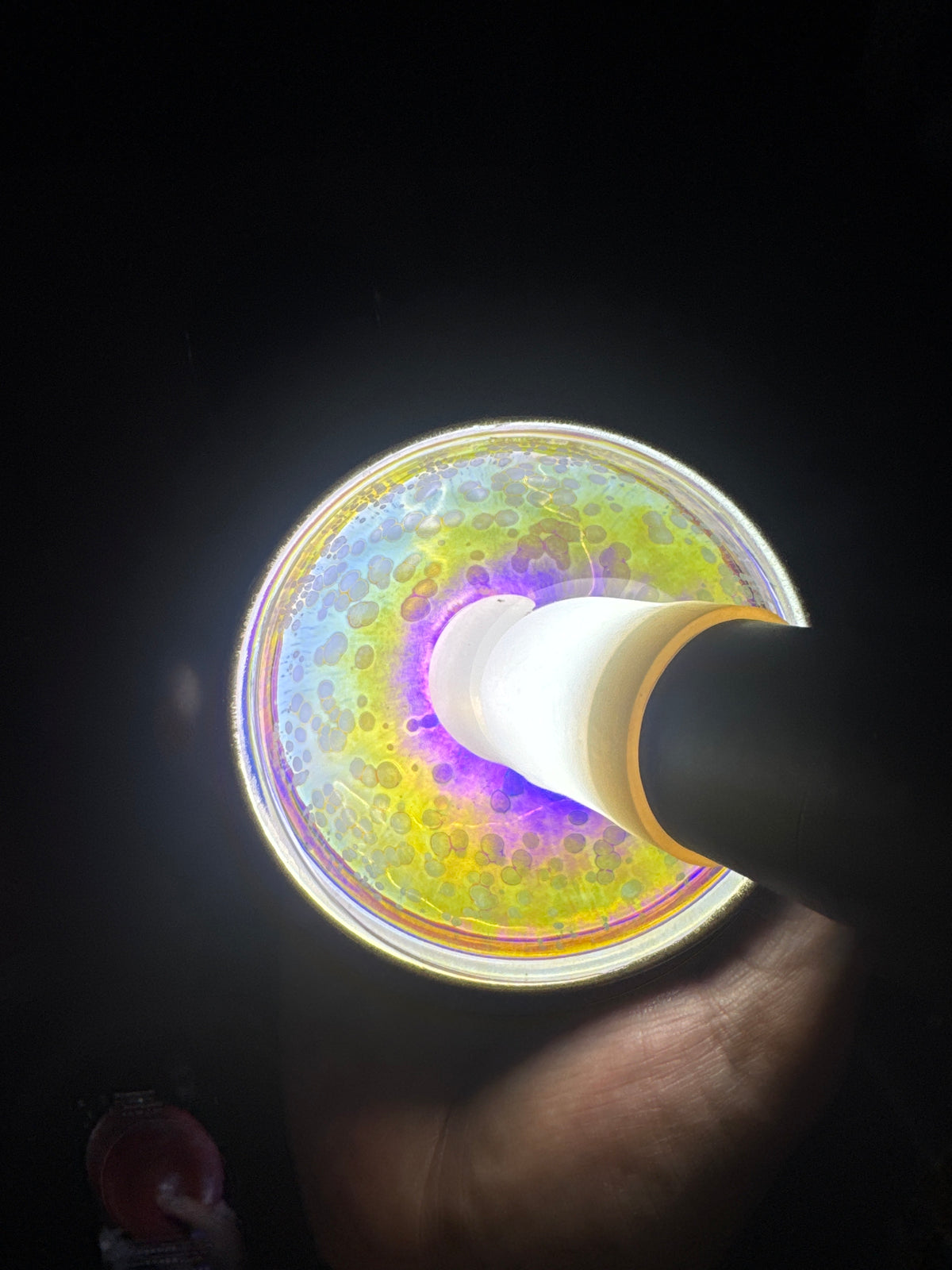 Champscurio
