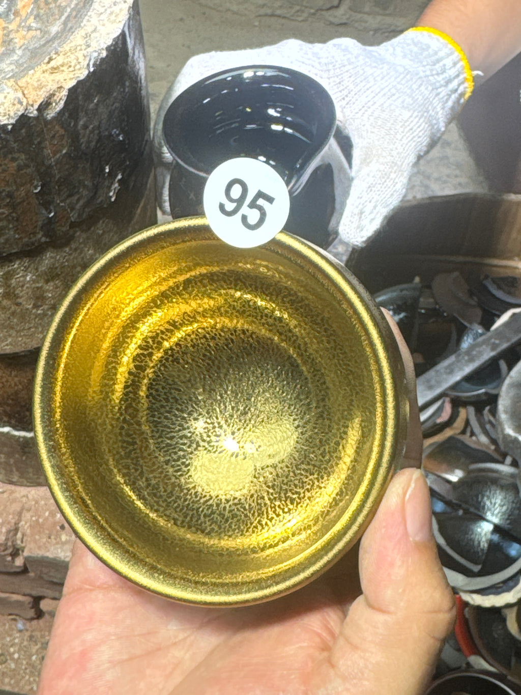 Champscurio